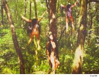 MMGP_G-on_184 MMGP_G-on_184